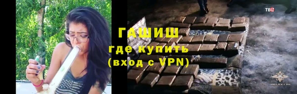 гидра Тавда
