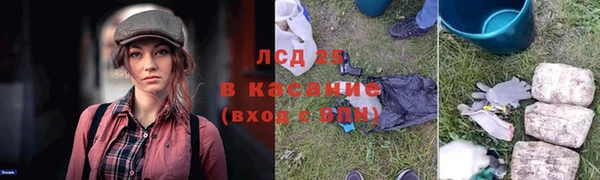 стаф Гусь-Хрустальный