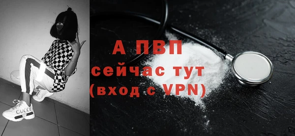 ECSTASY Гусев