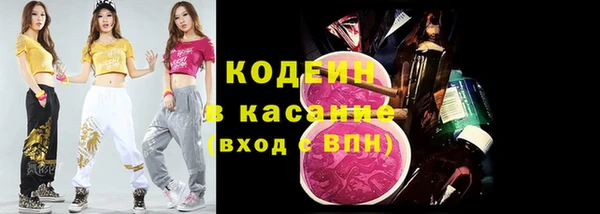 стаф Гусь-Хрустальный