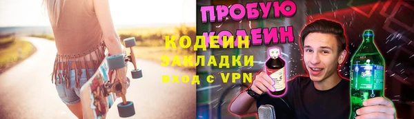 стаф Гусь-Хрустальный