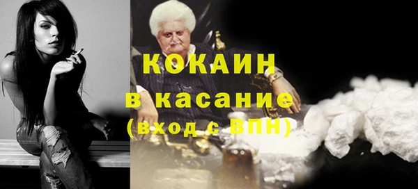 дживик Сясьстрой
