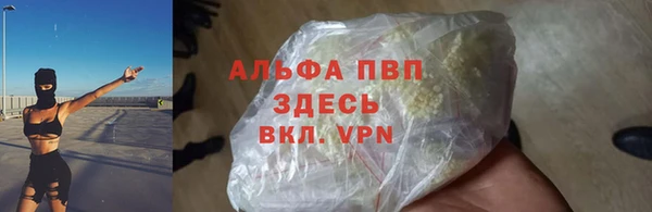 дживик Сясьстрой