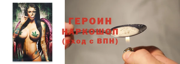 гидра Тавда