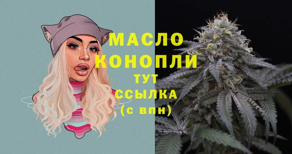 стаф Гусь-Хрустальный