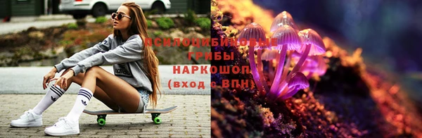 мяу мяу мука Гусиноозёрск
