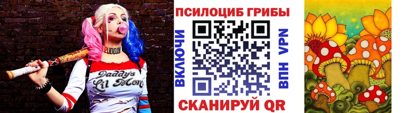 закладки  Ильский  Псилоцибиновые грибы ЛСД 
